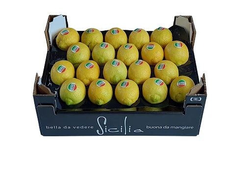 Packaging PASAM 73