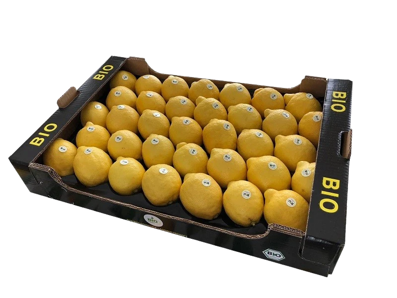 Packaging PASAM 66