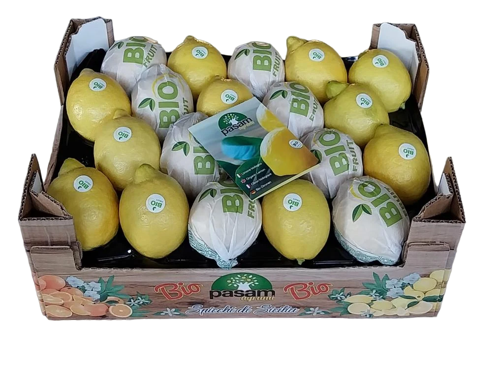 Packaging PASAM 92