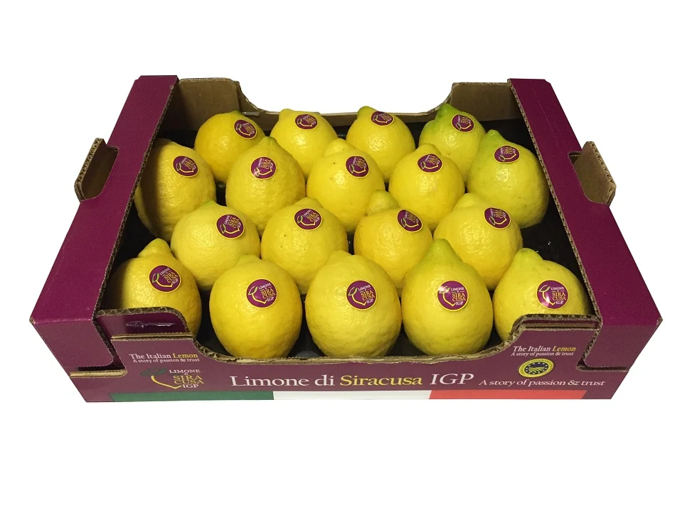 Packaging PASAM 96