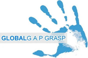 GRASP