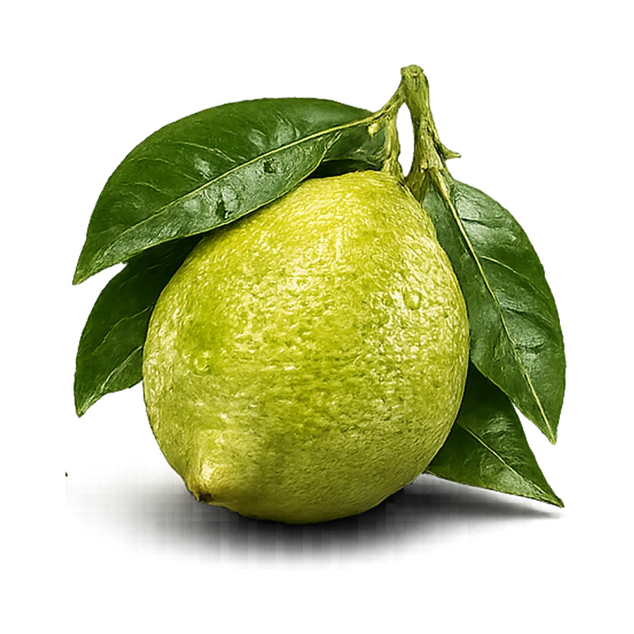 Limone verdello intero e ben visibile